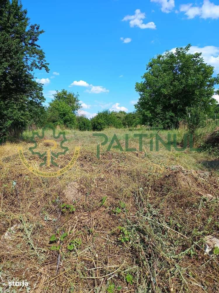 Casă cu teren 1.647 mp de vânzare – Hașag, Sibiu - Imagine principală: 4/4