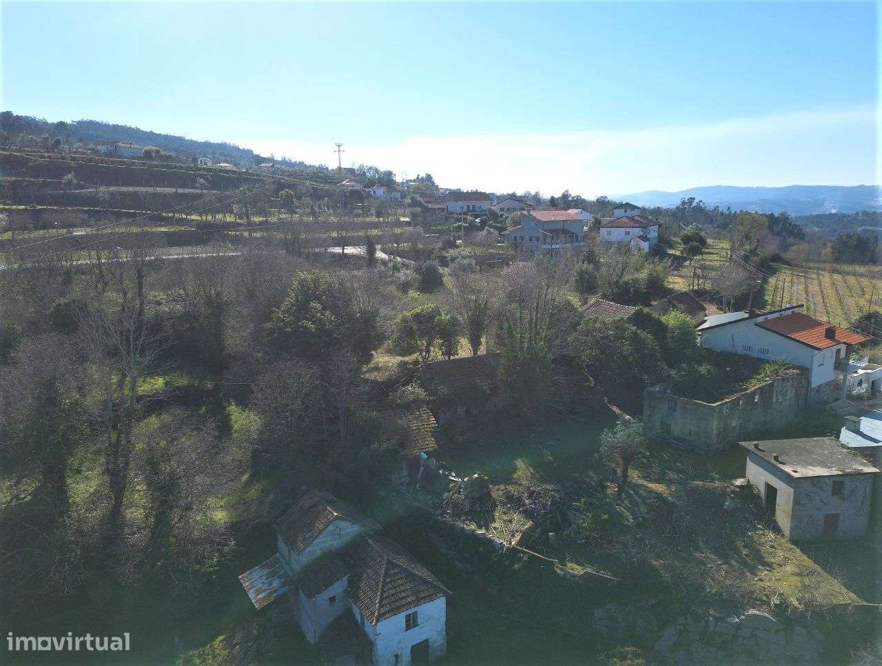 Quinta Folhada - Marco de Canaveses - Grande imagem: 3/22