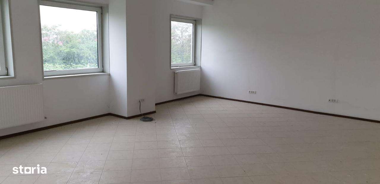 Hala de inchiriat - Imagine principală: 3/8