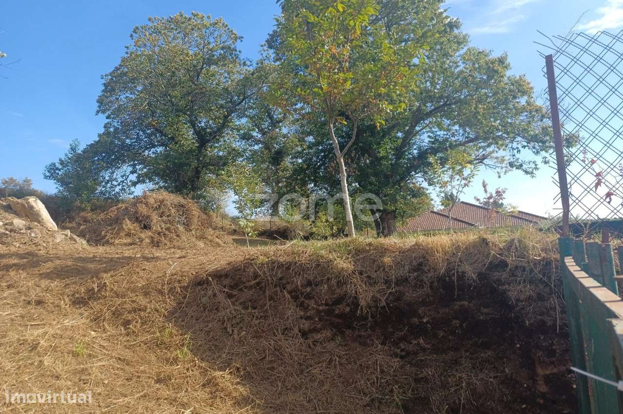 Terreno para construção em Gontães - Grande imagem: 5/9