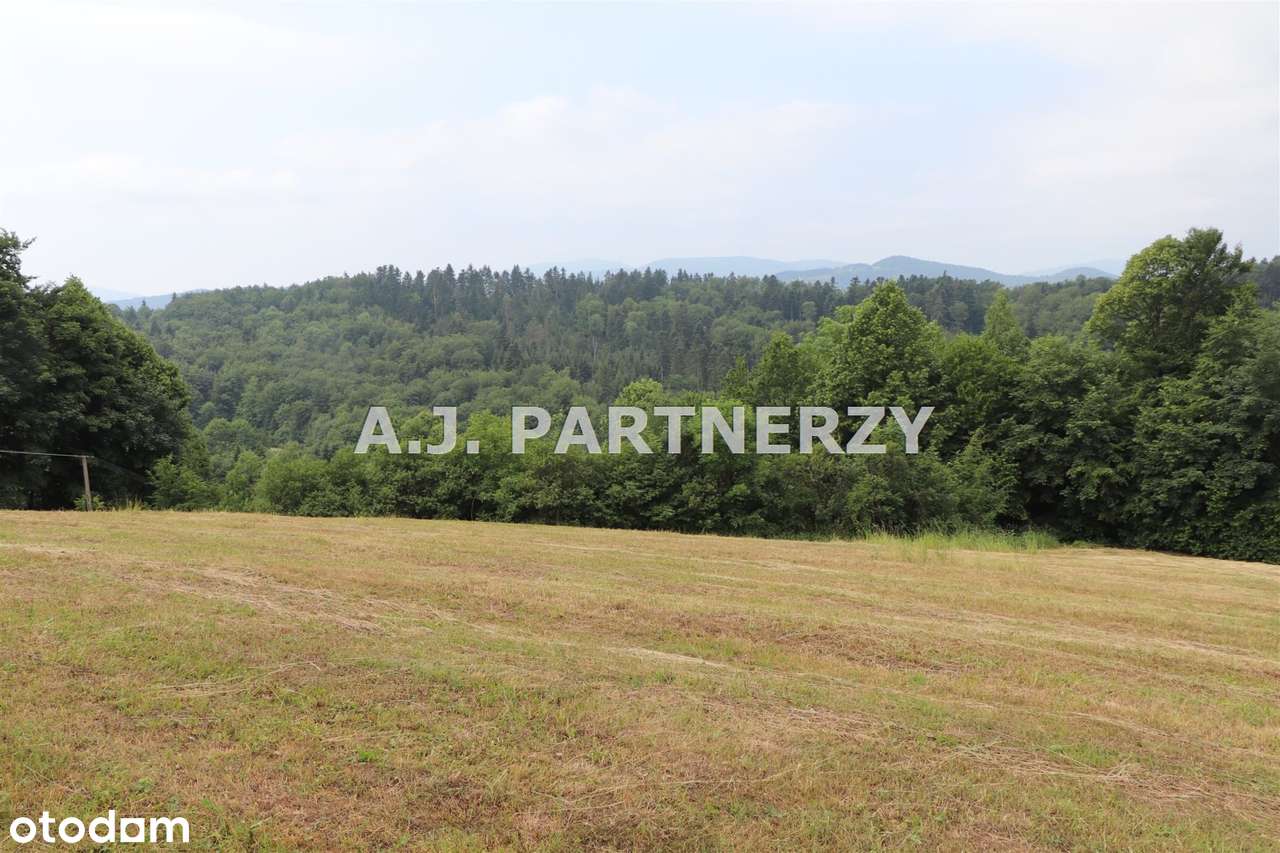 Działka w otoczeniu lasu z widokiem na góry-10