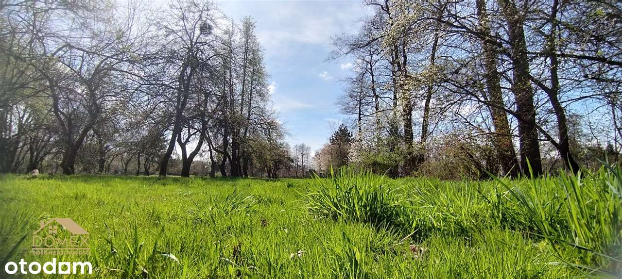 Działka 2100 m² w Chybiu Mnich – cisza i natura - Pełny obrazek: 4/6