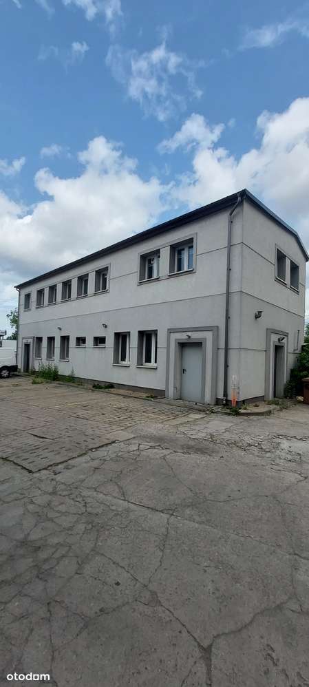 Dziaka inwestycyjna - pod produkcję lub usługi - Pełny obrazek: 5/8