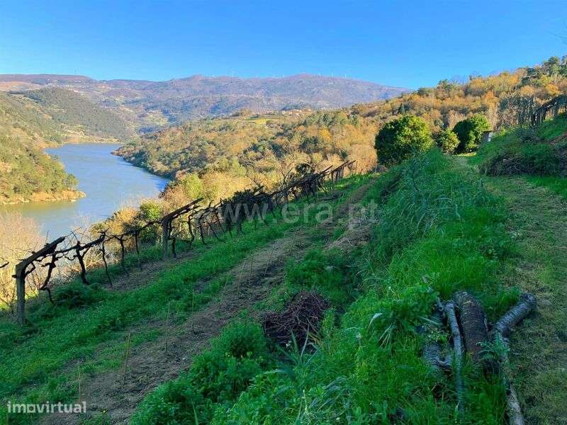 Terreno / Resende, Rio Douro - Grande imagem: 5/15