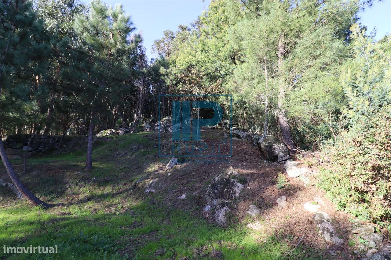 Quinta T3+1 Venda em Penhalonga e Paços de Gaiolo,Marco de Canaveses-43