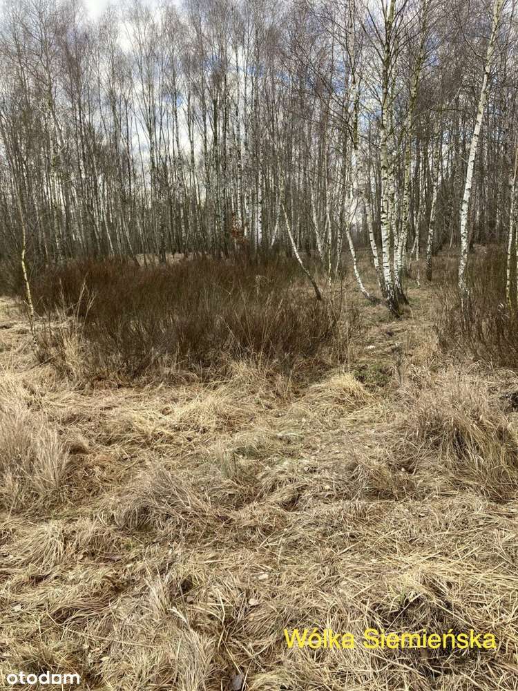 6 działek - Grunty orne -  Lasy - łąki-6