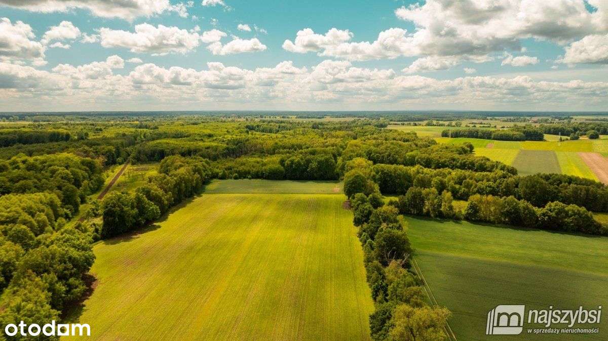 Nowogard -Ziemia Inwestycyjna Z Planem 3,64 Ha - Pełny obrazek: 2/10