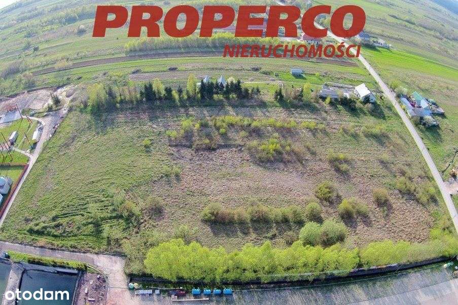 Działka 3706m2, Krajno Pierwsze, gm. Górno - Pełny obrazek: 4/5