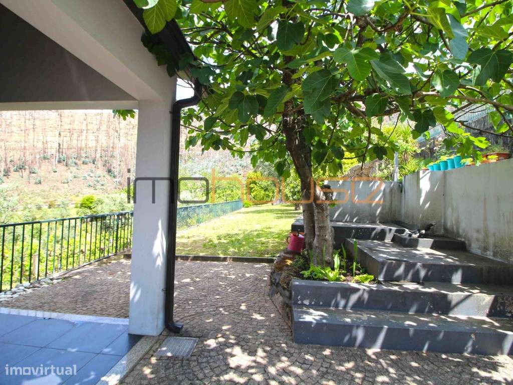 Quinta agrícola - 45 minutos do Porto-30