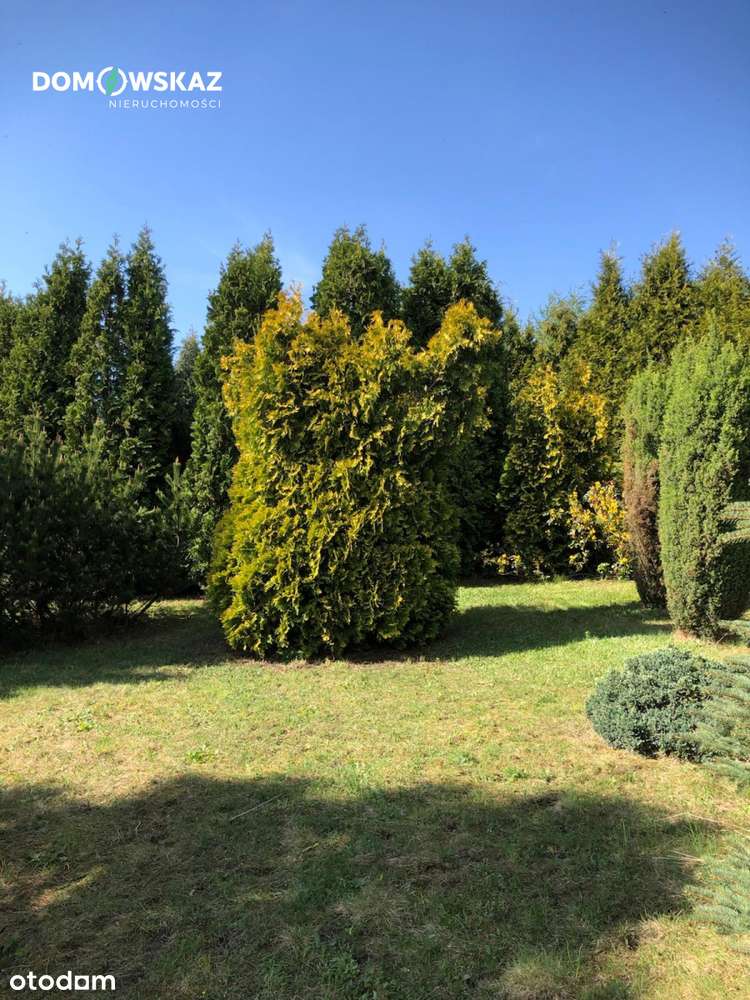 Piękna zagospodarowana działka - pod budowę - Pełny obrazek: 4/9