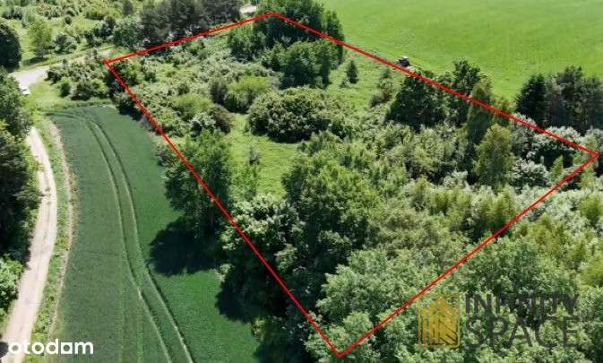 Frombork | Mpzp pod jednorodzinną lub usługi-0