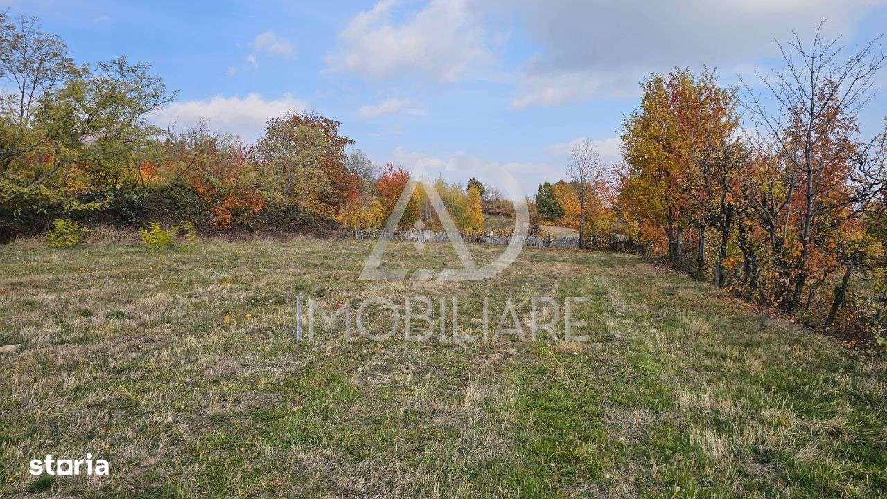 Teren intravilan – Crasna, Gorj - Imagine principală: 3/6