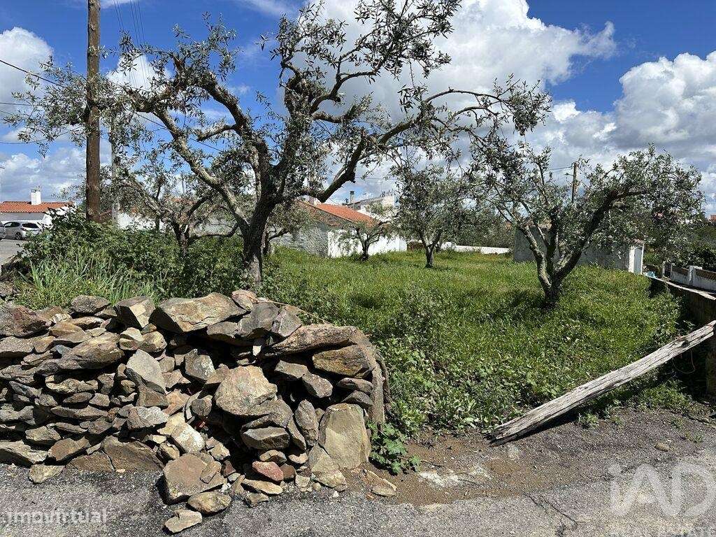 Terreno em Santa Cruz de 645,00 m2 - Grande imagem: 2/8