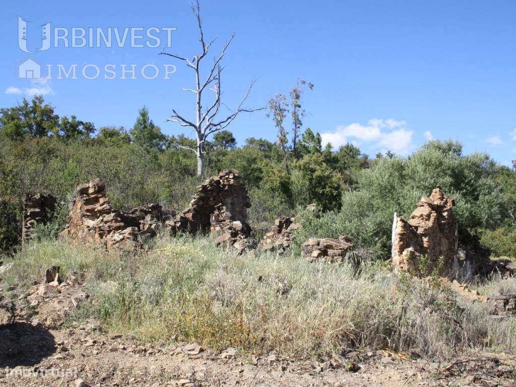 Terreno com Ruína em Salir, Algarve - Grande imagem: 5/16
