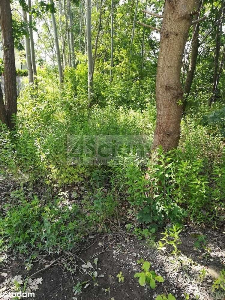 Atrakcyjna Działka - Pełny obrazek: 4/4