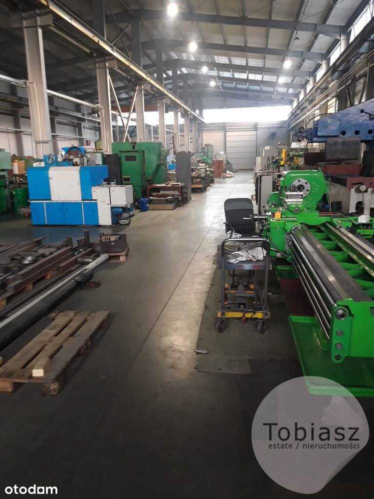 Kompleks produkcyjno- magazynowy/suwnice/ 3284 m2 - Pełny obrazek: 5/9