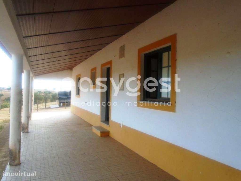 Monte Alentejano na zona de Serpa com eletricidade e terreno de 6,5 ha - Grande imagem: 5/28