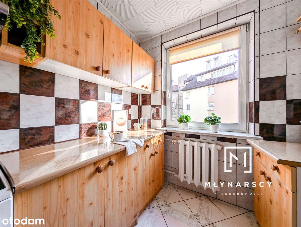 Przestronne mieszkanie | 3 pokoje | do adaptacji-6