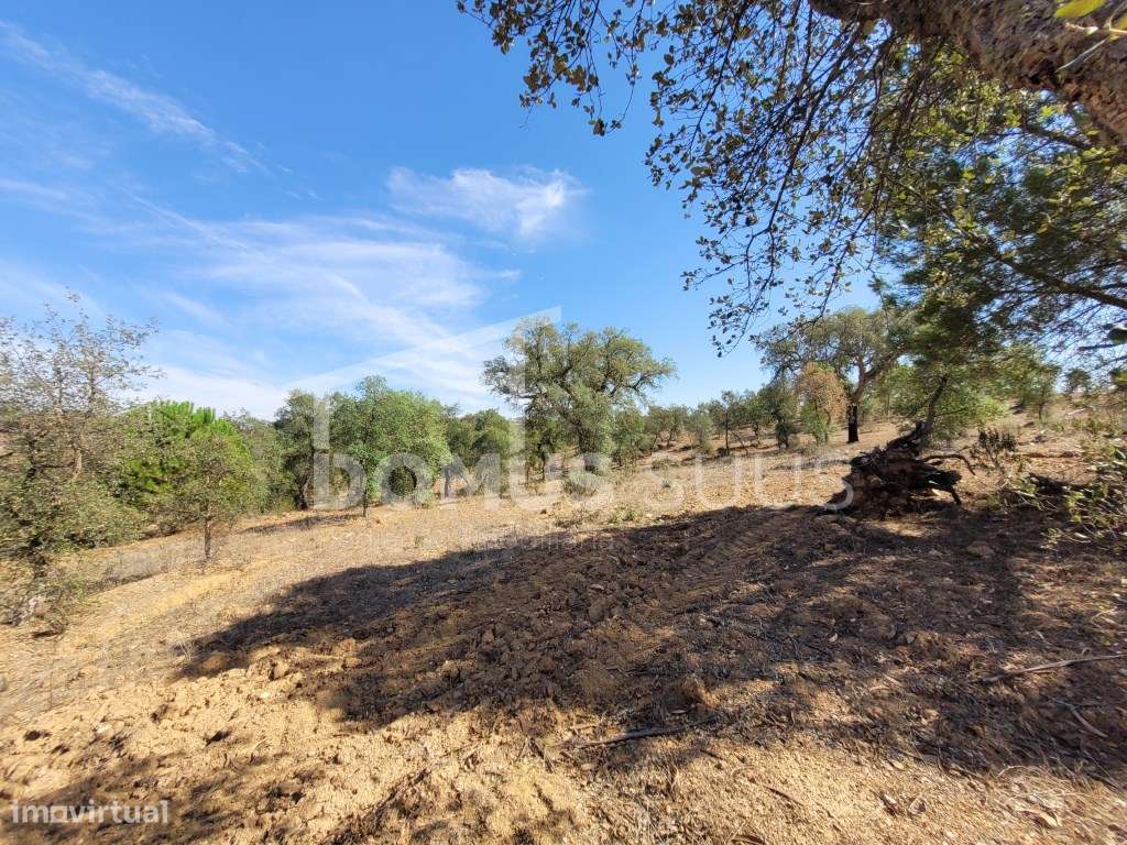 Terreno rústico com 23 Hectares - Grande imagem: 4/22