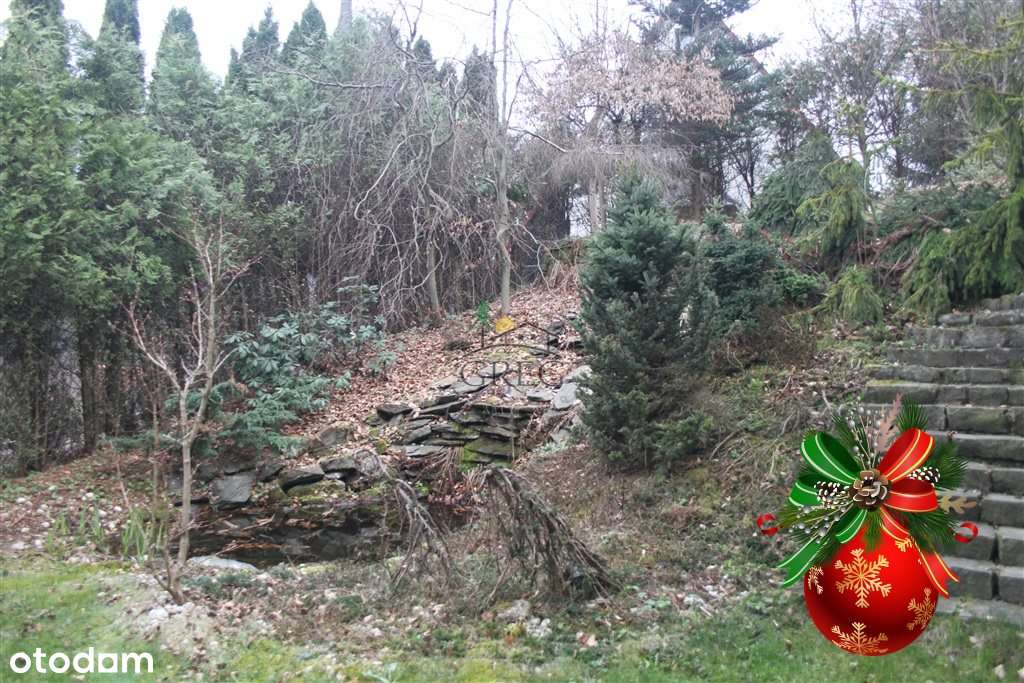 Kameralny Pensjonat z widokiem na góry - Pełny obrazek: 4/20