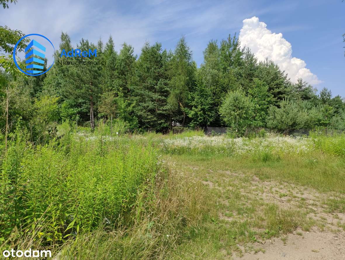 Działki pod bliźniaki Słomczyn. - Pełny obrazek: 5/5