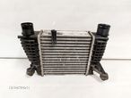 NISSAN JUKE F15 INTERCOOLER CHŁODNICA POWIETRZA 14461EM00A - 3