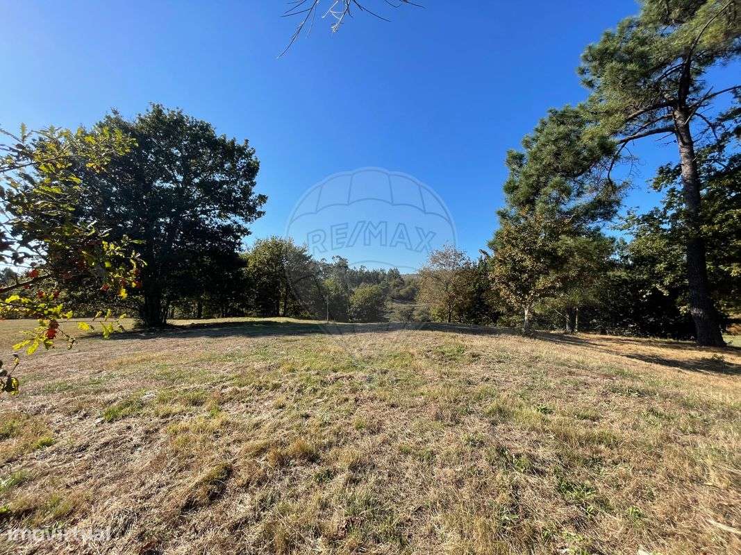 Terreno  para venda - Grande imagem: 3/24