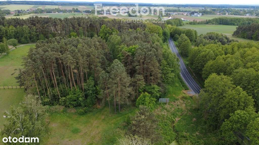Świetna działka inwestycyjna - 10min do S8 - Pełny obrazek: 4/19