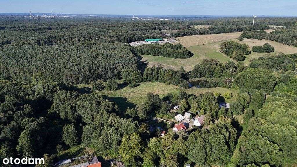 Lokal użytkowy, 1 240 m², Sierakowo - Pełny obrazek: 3/20