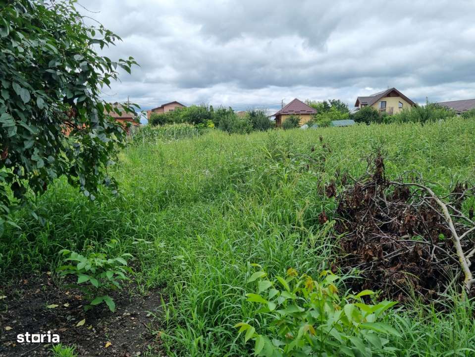 Teren generos 1411 mp cu casa veche si utilitati, zona centrala-4