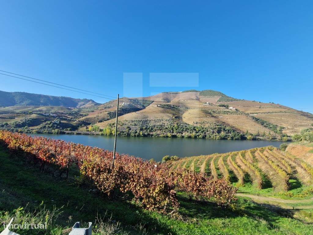 Casa em Ervedosa Do Douro, Viseu - Grande imagem: 3/23