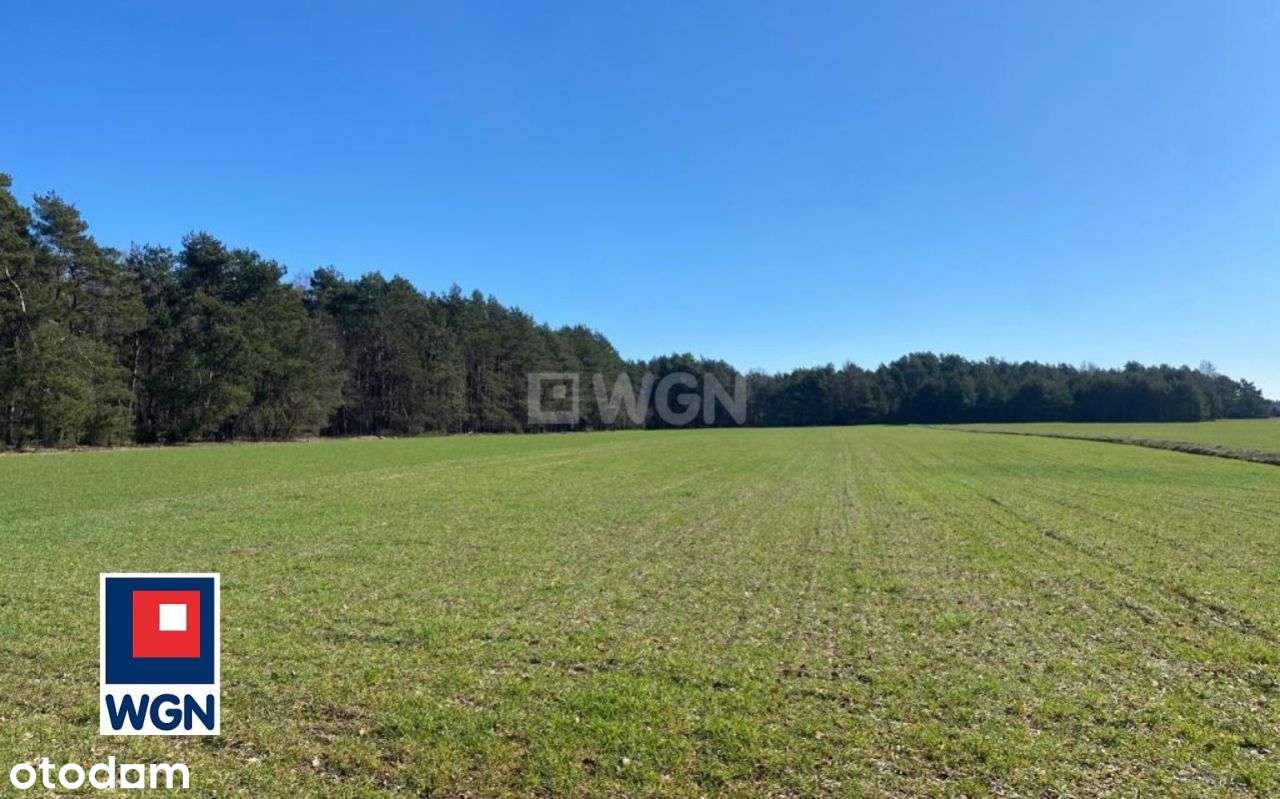 Działka, 3 000 m², Czystebłota - Pełny obrazek: 4/14