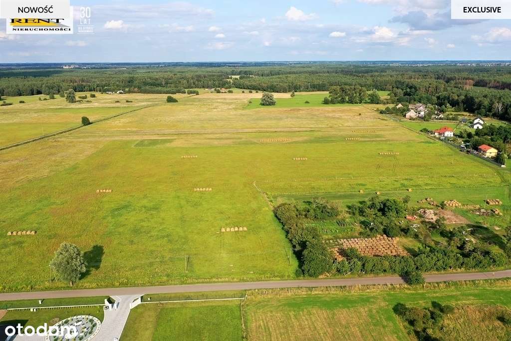 Ziemia rolna  w Cisewie pod Szczecinem - Pełny obrazek: 5/7