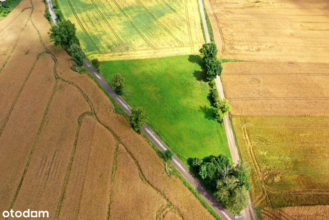 Duża działka - 60 ar-5