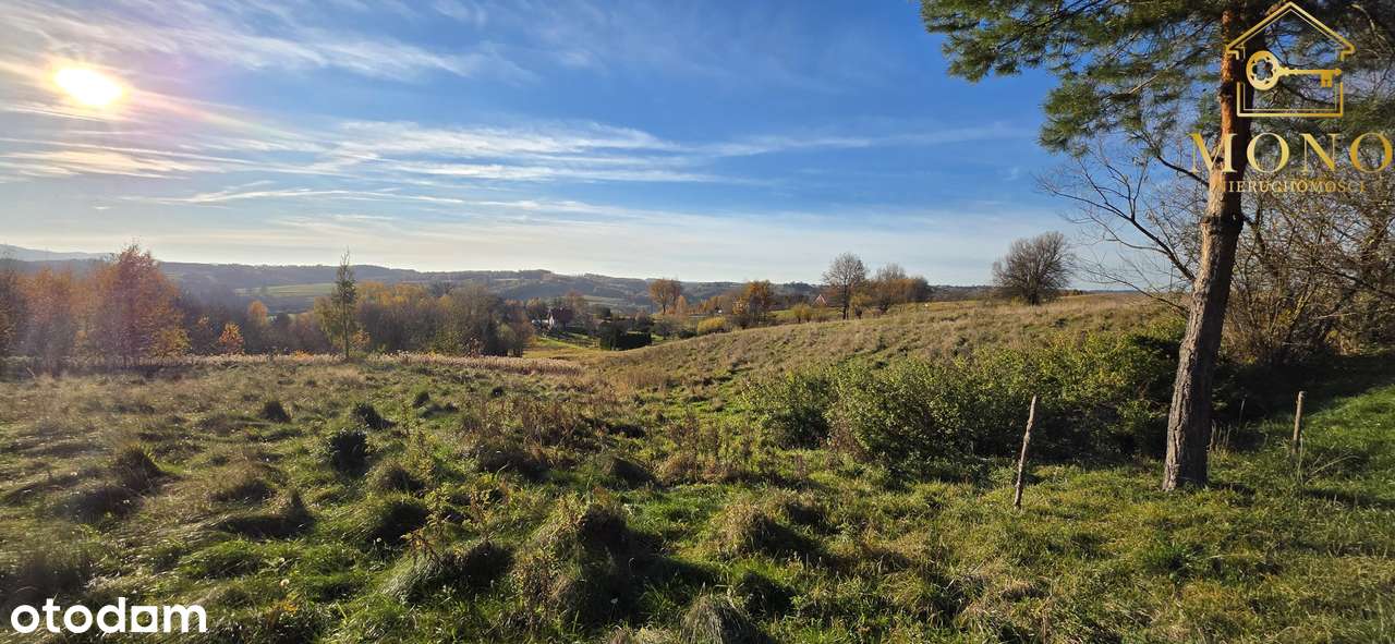 Widokowa działka 58 ar z WZ na 2 domy-2