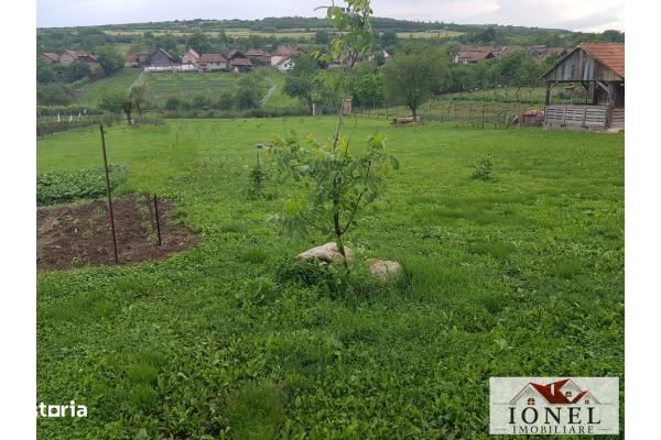 Teren intravilan-3360 mp- de vanzare in Henig