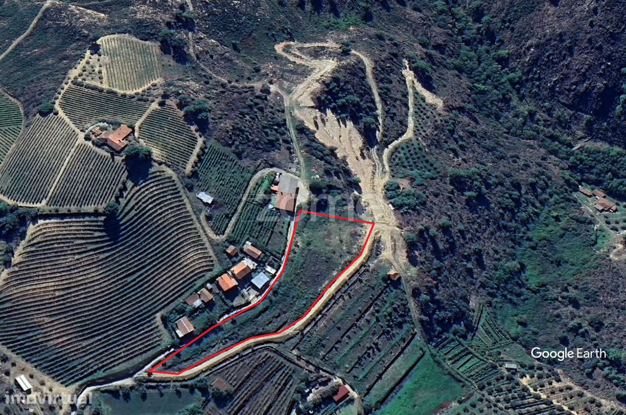 Terreno rustico , lugar do Plames, Murça-5