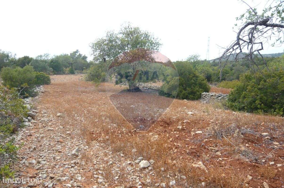 Terreno  para venda - Grande imagem: 2/5