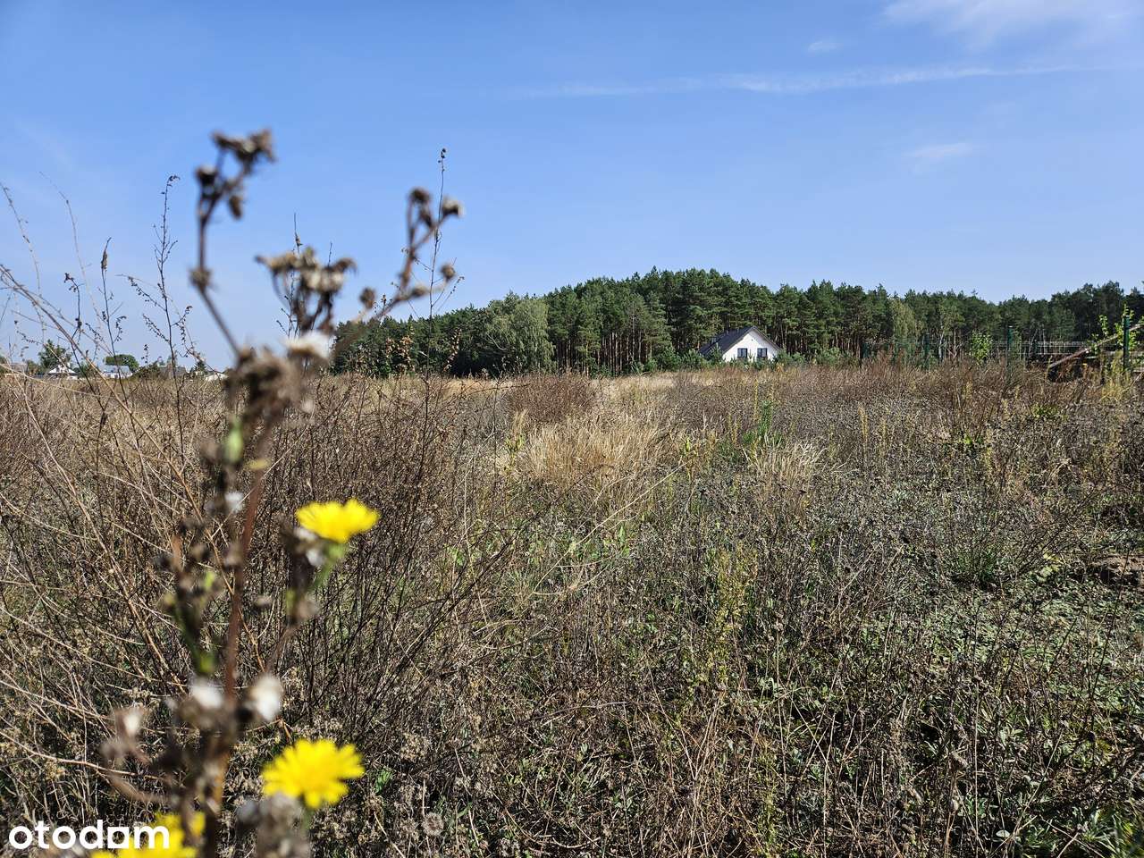 To tu znajduje się Twoje miejsce-8