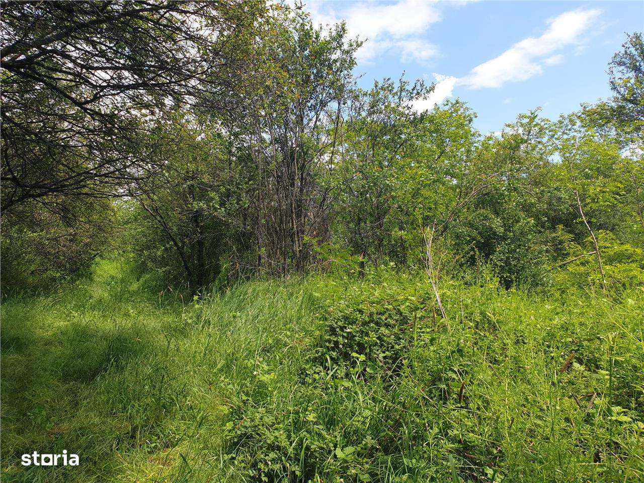 Teren extravilan Episcopia Bihorului - Imagine principală: 5/5