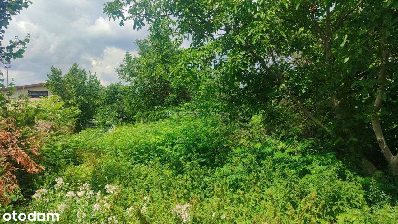 Sprzedam działkę rolno-budowlaną,1.4ha, Dąbrowice - Pełny obrazek: 5/6