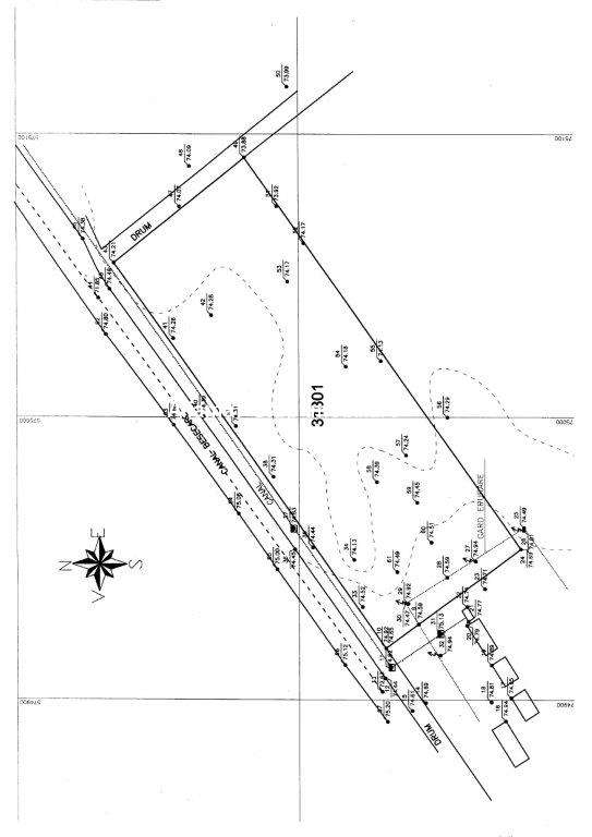 Vanzare teren 10.000mp Cornetu- Mihailesti - Imagine principală: 2/3