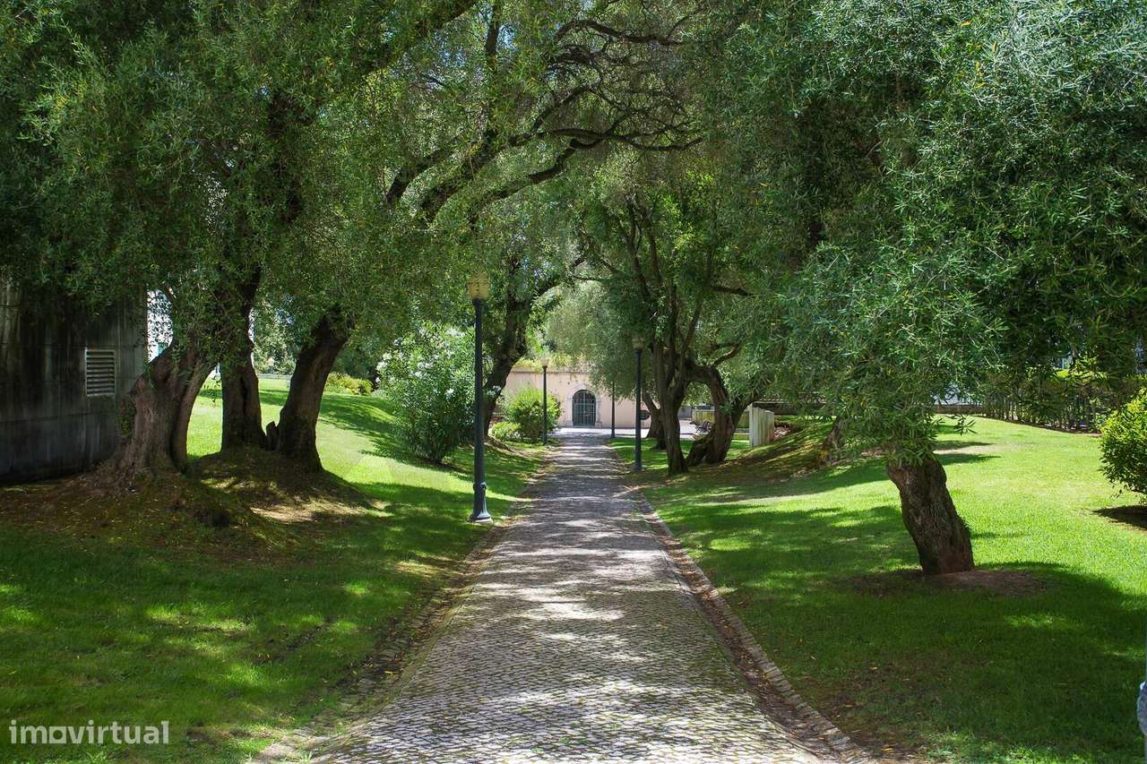 Alcântara | T1 em Condomínio Privado com Piscina, Estacionamento e Seg-35