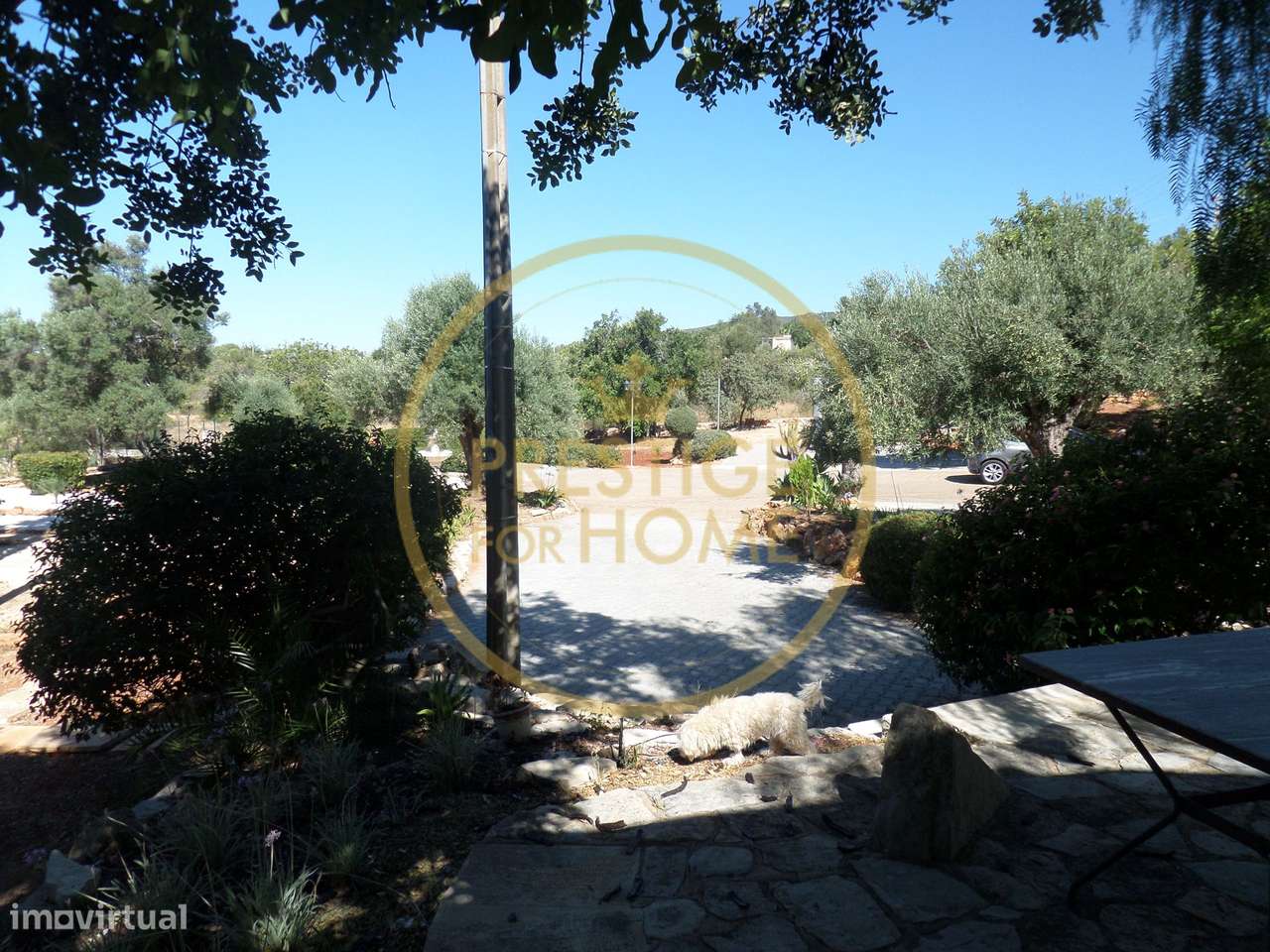 Moradia T3 com Vista Mar Panorâmica, Piscina e 5.000 m² de Terreno – S-59