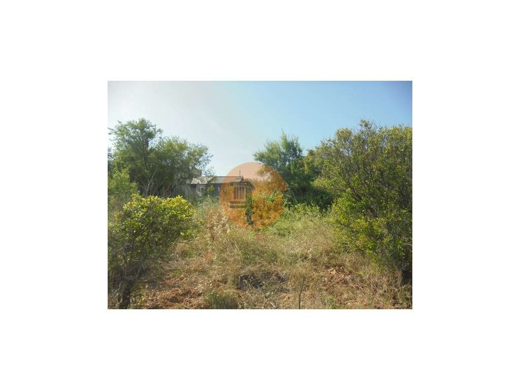 Terreno misto - Grande imagem: 3/32