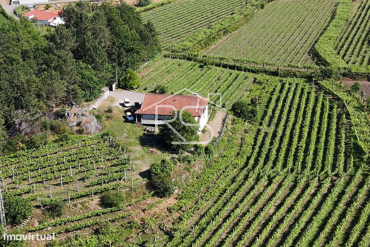 Quinta T6 | Selho São Jorge, Guimarães-12