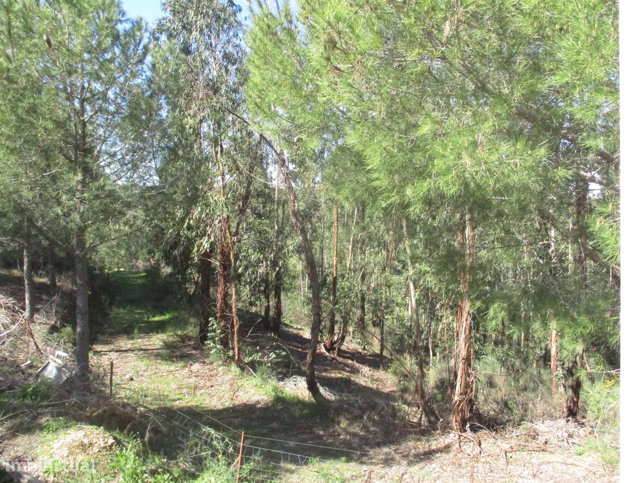 Quinta T0 Venda em Castelo Branco,Castelo Branco-13