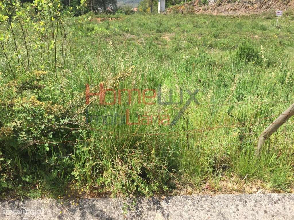 Terreno para construção em Oliveira de Azeméis - Grande imagem: 3/4