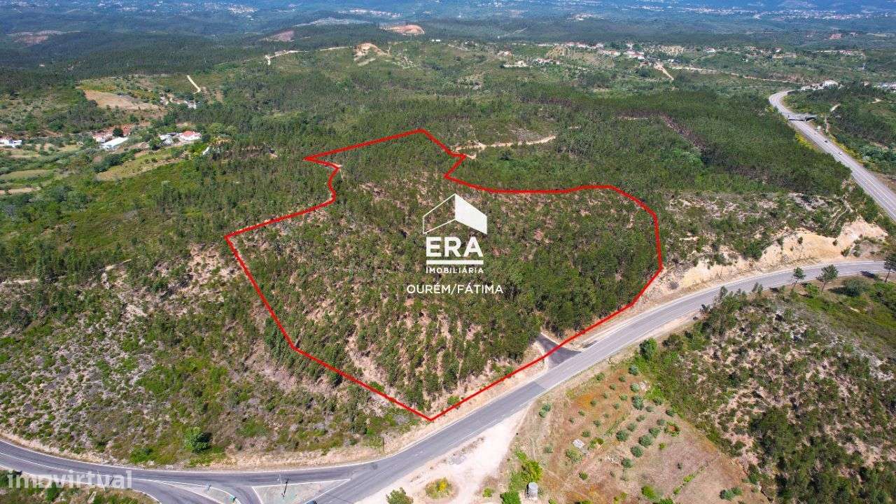 Terreno Rústico localizado em Carregueiros, Tomar - Grande imagem: 3/15