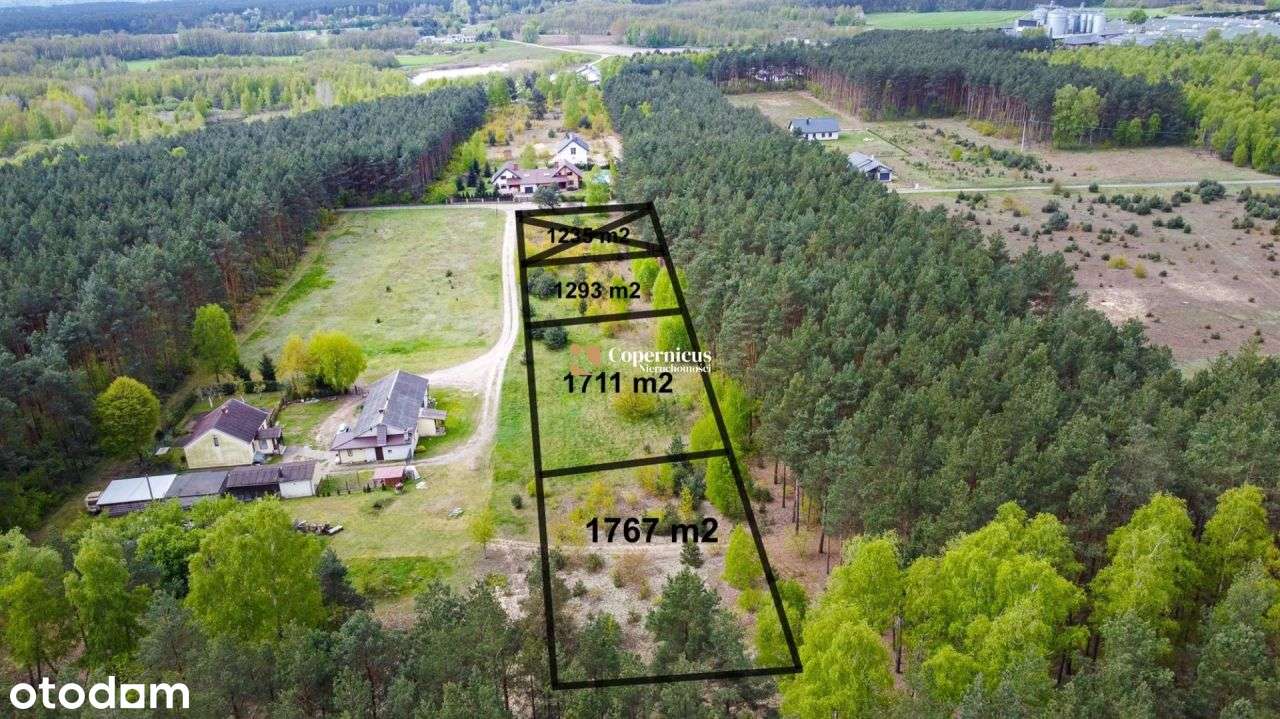 Działka z sąsiedztwem lasu - bez prowizji. - Pełny obrazek: 4/7